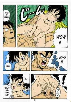 Page 19 of Dragon Ball H