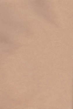 Page 2 of Melt merry go-round