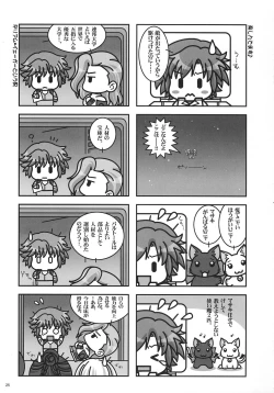 Page 24 of Bird Stryker 2