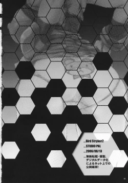 Page 29 of Bird Stryker 2