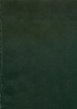 Page 3 of QPchick10a LeafRe:Re:CHERRY-