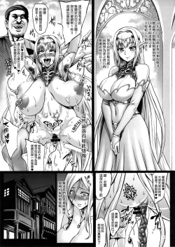 Page 12 of Houjou no Reizoku Elf