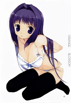 Page 17 of ORANGE BLOSSOM