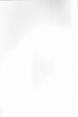 Page 2 of Nyota Tsuna Nikki