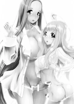 Page 17 of Himeyaka Full Rage 4