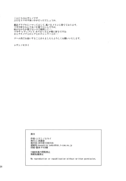 Page 28 of Meteor Swarm Eruption