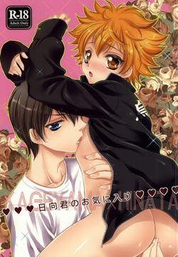Download Hinata-kun no Okiniiri