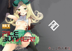 Download PileBunker!!