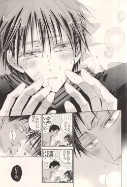 Page 32 of Kagami Zukan - Kagami Pictorial Book