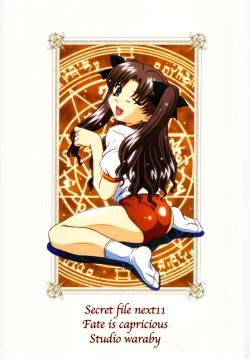 Page 34 of SECRET FILE NEXT 11 - Fate is capricious