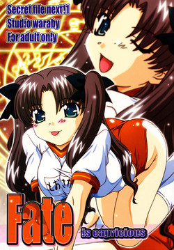 Download SECRET FILE NEXT 11 - Fate is capricious