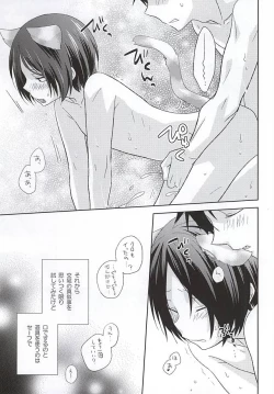 Page 14 of Neko Otoko Ichizoku no Koubi Report