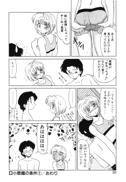 Page 21 of Koakuma no Jouken