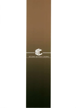 Page 22 of Ridersan and Black Stocking.