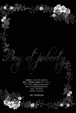 Page 22 of Boy at puberty