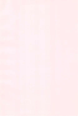 Page 4 of GUNK Kaiteiban