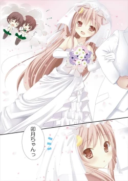 Page 6 of Shinkonshoya da Pyon