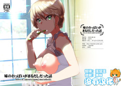 Download Imouto no Oppai ga Marudashi Datta Hanashi