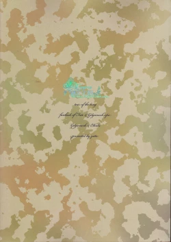 Page 2 of Ou-sama no Namida | 王的泪水