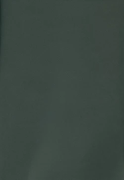 Page 87 of Bakura Impact