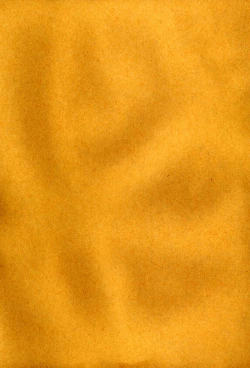 Page 8 of Kurokami no Sarasate - SARASATE ob Brunet hair.