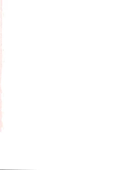 Page 2 of Special Kimigabuchi 2000-nen Summer Prototype