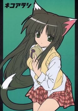 Download Neko Arashi