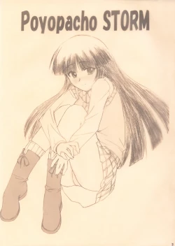 Page 3 of Poyopacho Storm