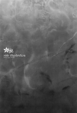 Page 265 of Shinkyoku no Grimoire III