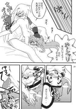 Page 29 of SLAYERS ADULT 9