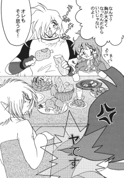 Page 6 of SLAYERS ADULT 10