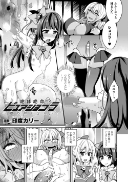 Page 27 of Seigi no Heroine Kangoku File Vol. 4