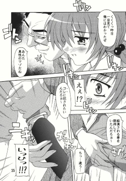 Page 35 of Chikan Otoko Soushuuhen