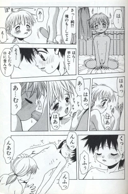 Page 19 of Shota Missile