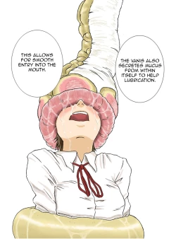 Page 26 of P045-02 Vanis Report