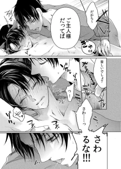 Page 47 of Futago neko hiroimashita