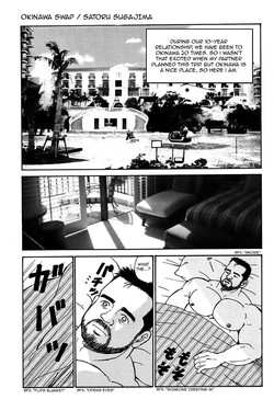 Download Okinawa Swap