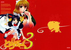 Download Toorimatic 3