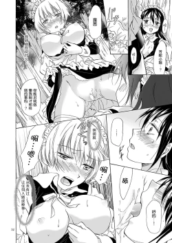 Page 31 of Chiisana Maid-san no Himitsu