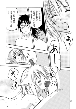 Page 13 of Nyan Kororin