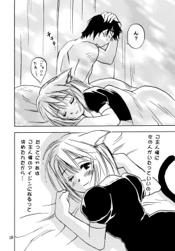 Page 28 of Nyan Kororin