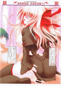 Page 10 of Moe Touhou Gensoukyou Touhou Shunjuu Sei