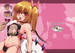 (Kouroumu 8) [Nekonokone (Takeyuu)] Aidane 6 (Touhou Project) [Chinese] [古明地恋个人汉化]