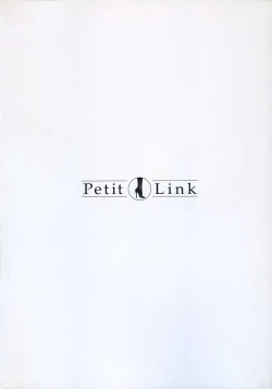 Page 4 of Petit Link 2