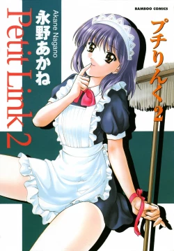 Page 6 of Petit Link 2