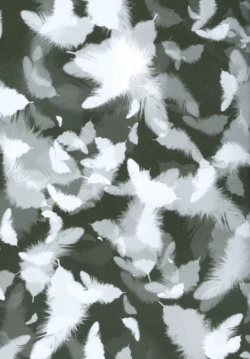 Page 5 of Nightmare no Toriko