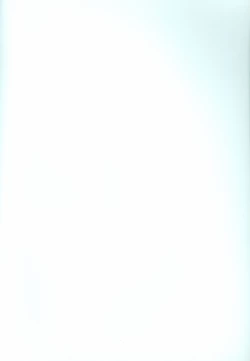 Page 33 of SanbaisokudeBatsugame