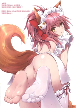 Page 3 of FGO no Ashibon