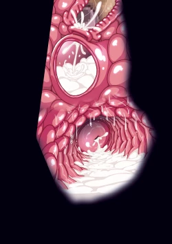 Page 206 of SECOND VIRGIN DL