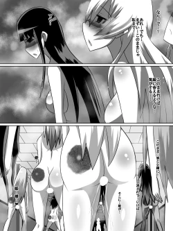 Page 41 of Nithualia no Kishi Irina